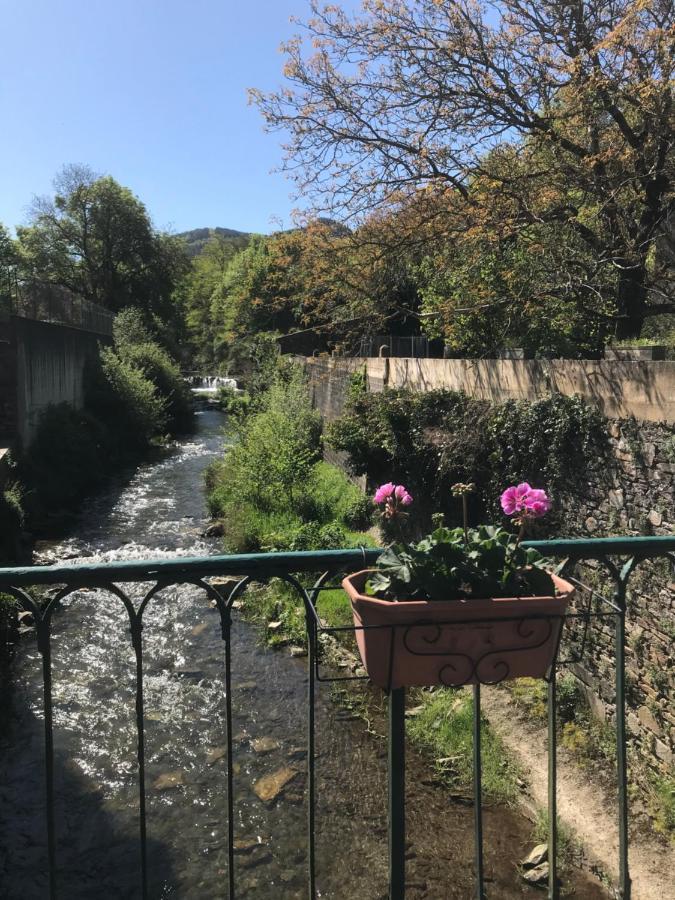 Residence Le Petit Paradis Labastide-Rouairoux Εξωτερικό φωτογραφία
