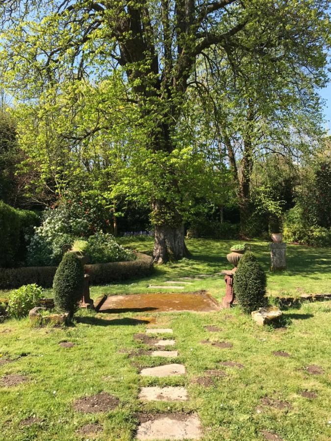Residence Le Petit Paradis Labastide-Rouairoux Εξωτερικό φωτογραφία